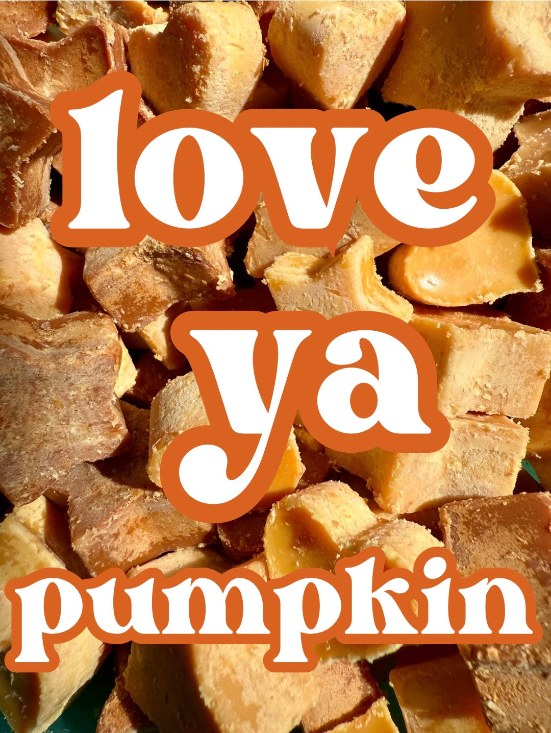 love ya pumpkin | white pumpkin + caramel